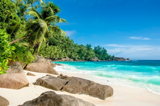 ile paradisiaque
